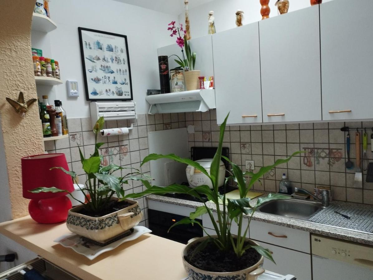 Chambre D'Hote Dans Maison Individuelle 圣马洛 外观 照片